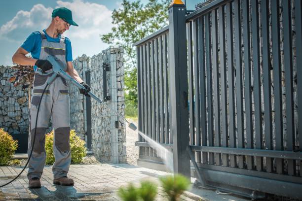 Best Roof Washing  in Bowman, ND